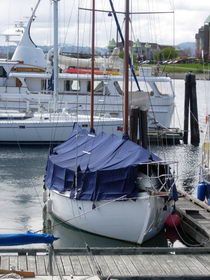 CapnJacqs - Boat Canvas